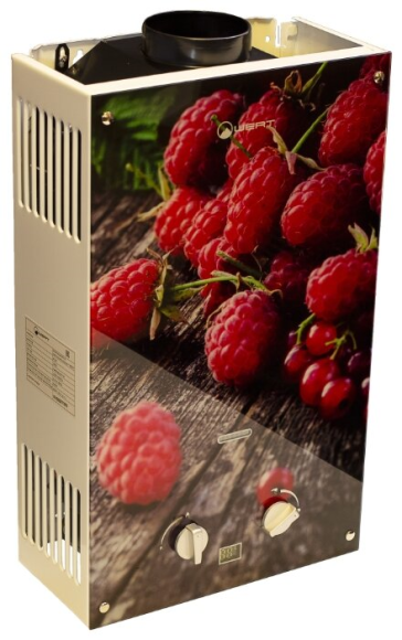 Водонагреватель газовый проточный WERT 10EG BERRY